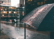 开云体育入口-光影魔术师，拉梅洛·鲍尔撕裂掘金防线，黄蜂奏响青春风暴最强音