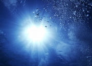 开云官网-双星闪耀，太阳队一波流席卷广厦，库里跨界意甲焦点战接管比赛