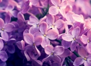 开云体育在线-最漫长一夜与最年轻的星，当莫兰特成为奥运周期的胜负手