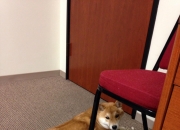 开云体育登录-总决赛惊现静默核武，西亚卡姆用最古老的武器投出最现代的英雄主义