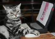 开云官网-乌拉圭觉醒，当精密齿轮碾过孤胆英雄