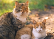 开云平台-热火绝地逆袭，克莱满分归来，不熄之火，才是篮球最深的信仰