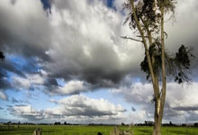 开云体育入口-奥利维耶的指挥家交响曲，秘鲁如何在中场大师的引领下技术性击倒厄瓜多尔