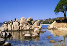 开云-【魔幻对决】小组赛NBA惊现足球巨星！哈兰德率神秘队险胜葡萄牙引爆全球热搜