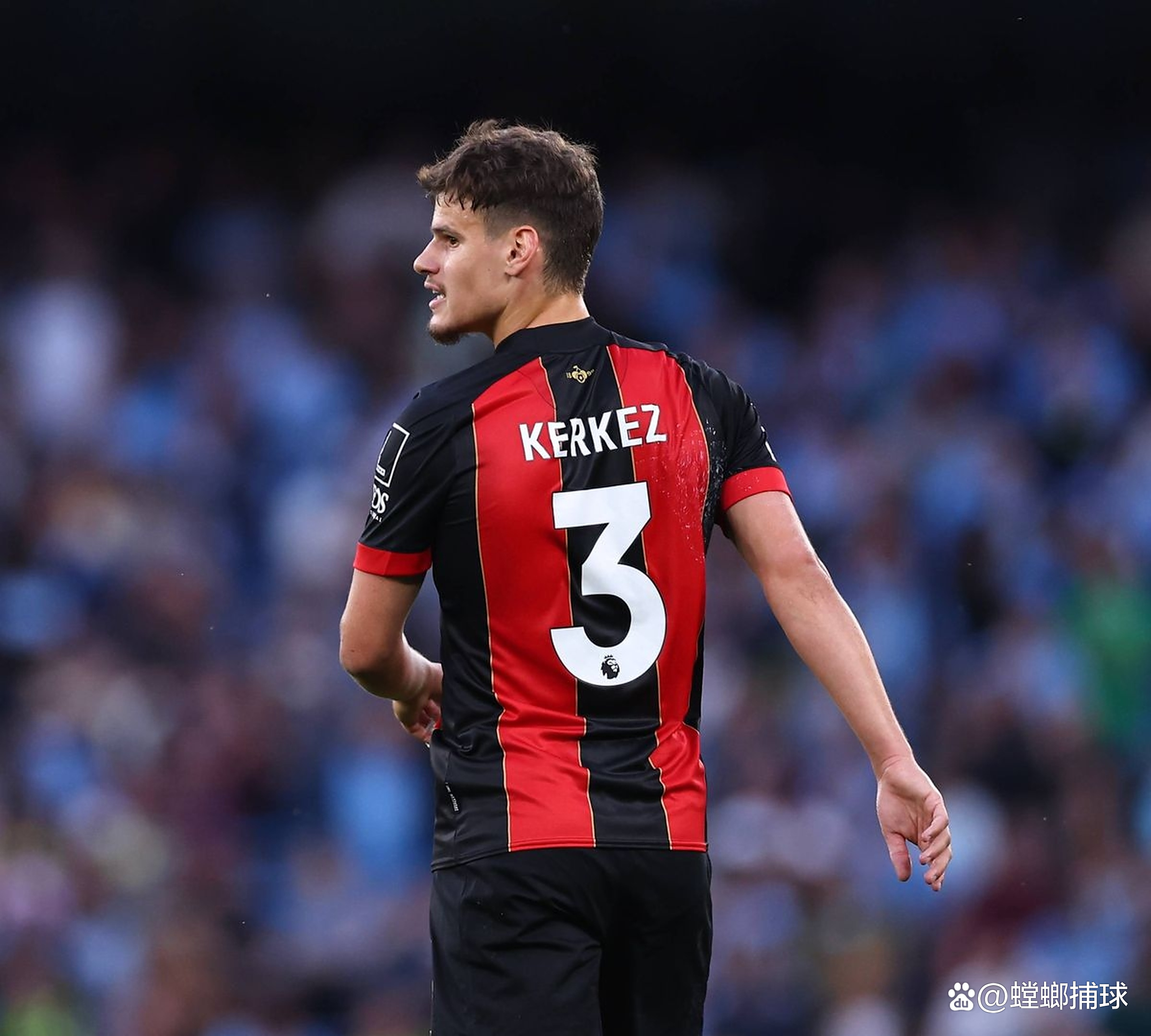 关于伯恩茅斯主场失利，赛季前景堪忧！的信息