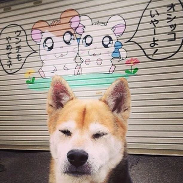 竞技场上的颠覆序曲,山西黑马扬蹄,布克一骑绝尘