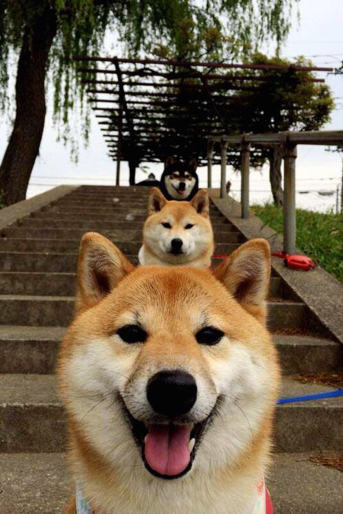 狂想曲与精密机器，当东契奇点燃天际，北京队正编织无懈可击的网