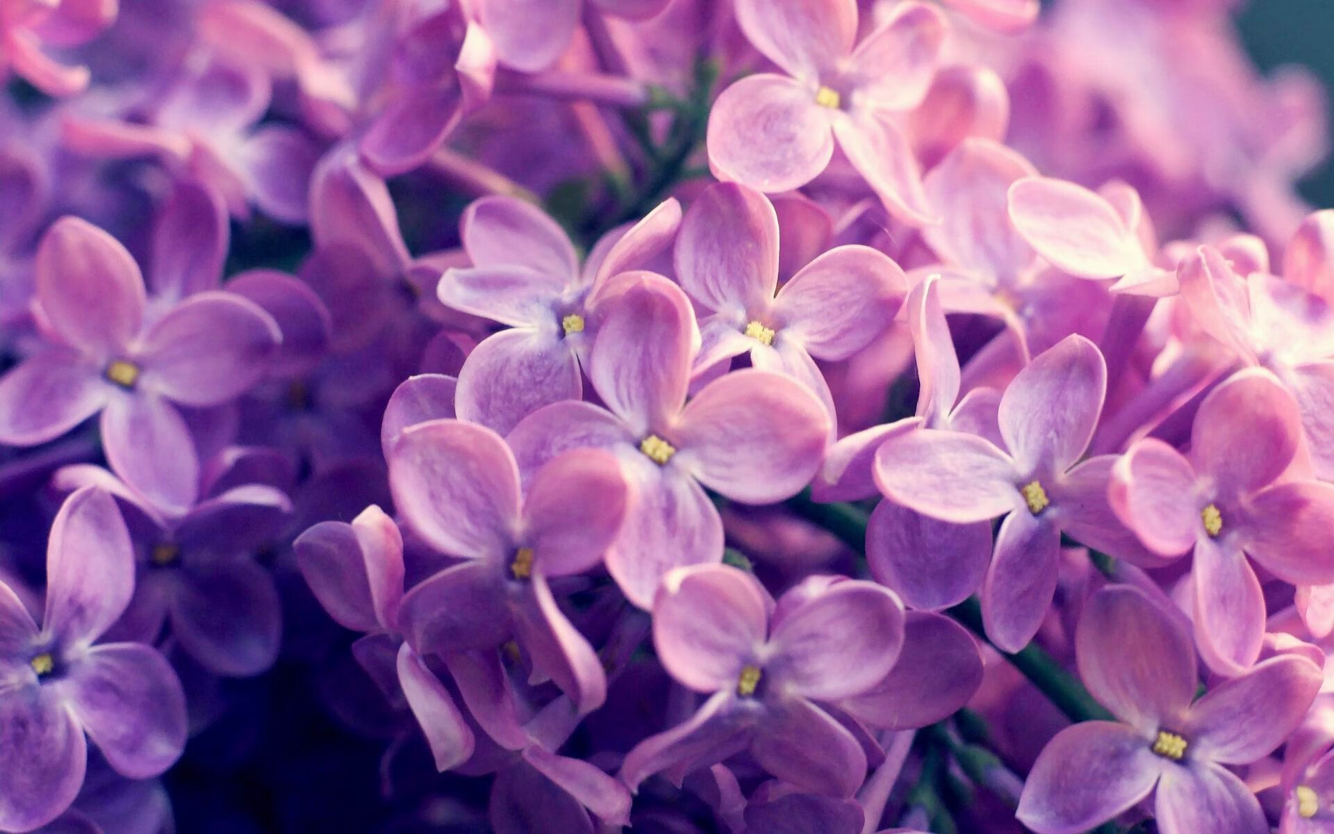 最漫长一夜与最年轻的星,当莫兰特成为奥运周期的胜负手