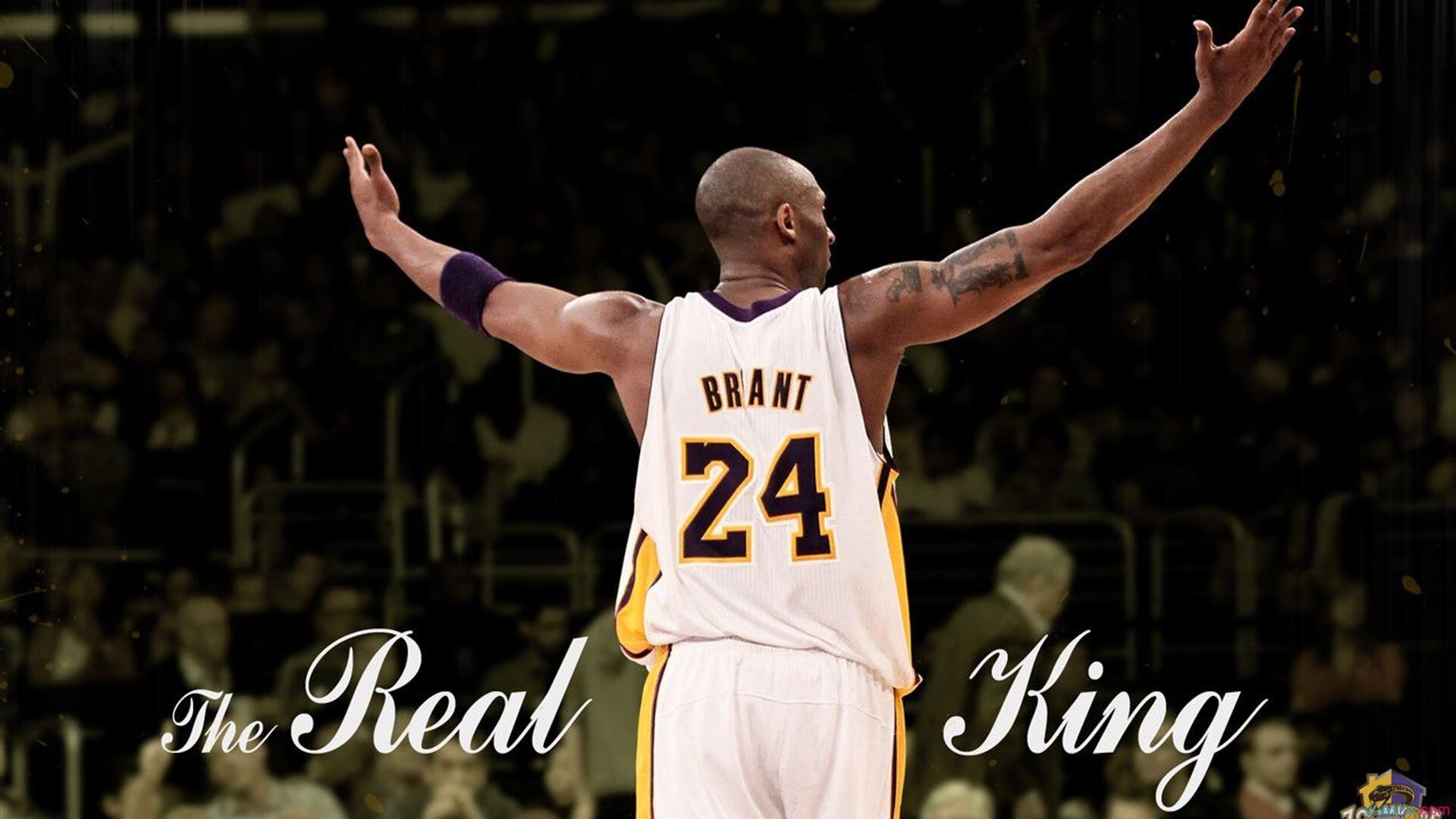 虚拟巅峰对决,吉林铁骑踏平丹佛高原,霍勒迪跨联盟接管年度焦点战