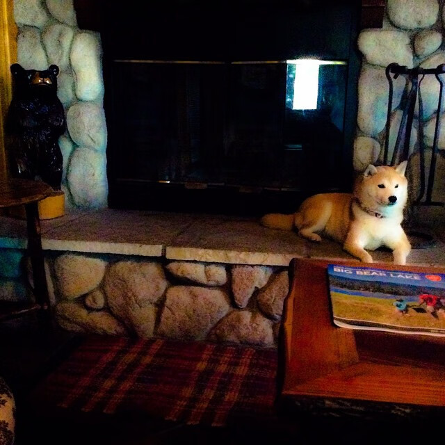 雄狮怒吼！塞内加尔正面击溃巴西，莱奥独造三球点燃赛场奇迹