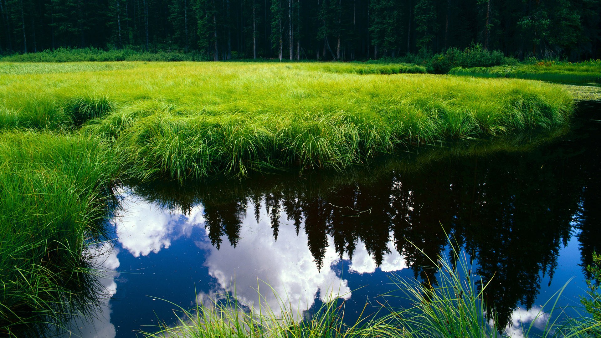 浪潮之下，当掘金带走浙江，字母哥刷新纪录的双重冲击波