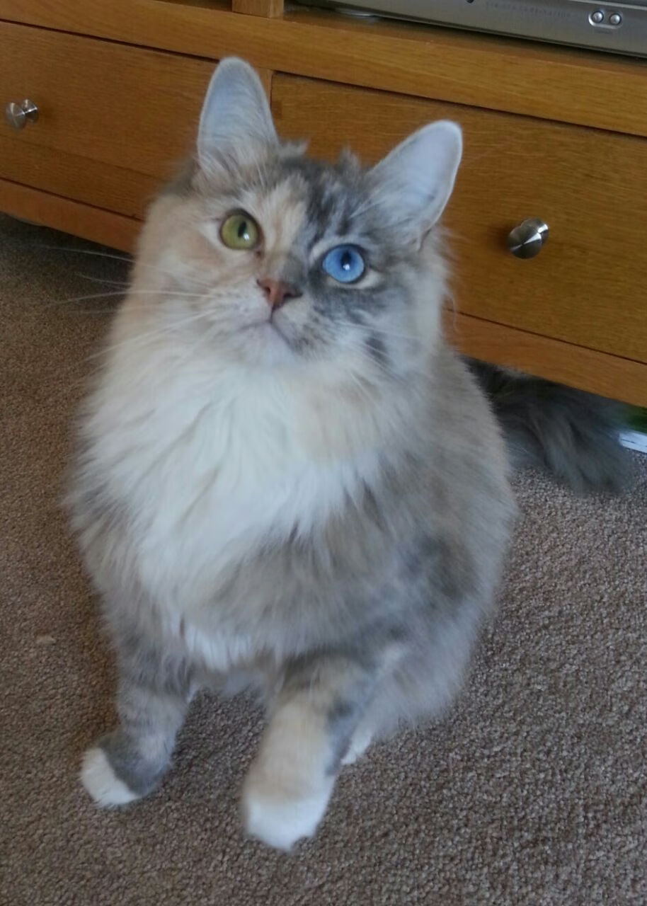 红军奇兵天降!李刚仁梦幻舞步导演胜利,利物浦客场制霸勒沃库森