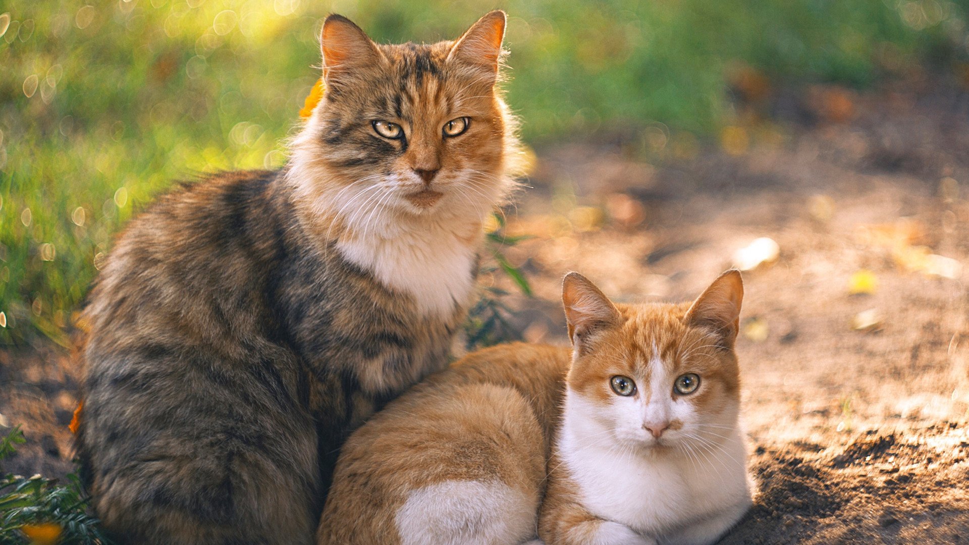 热火绝地逆袭,克莱满分归来,不熄之火,才是篮球最深的信仰