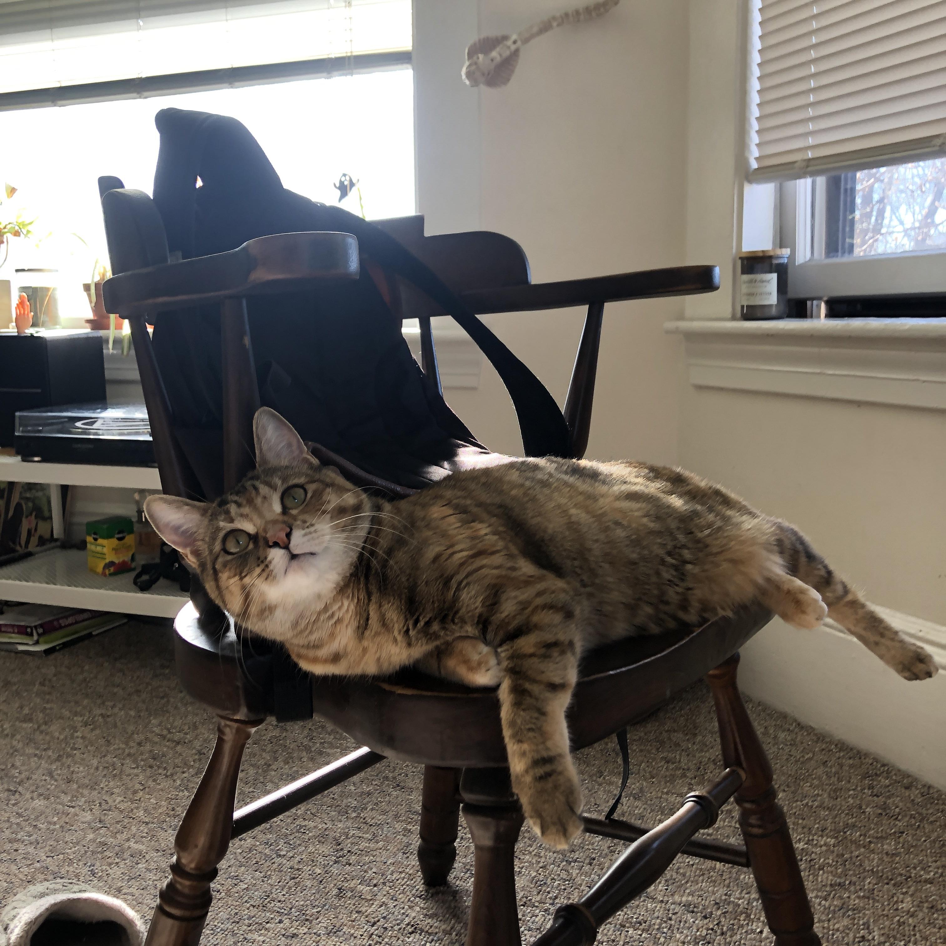 克敌圣城!贝林厄姆高能风暴席卷亚特兰大,中国智造幕后导演逆转奇迹