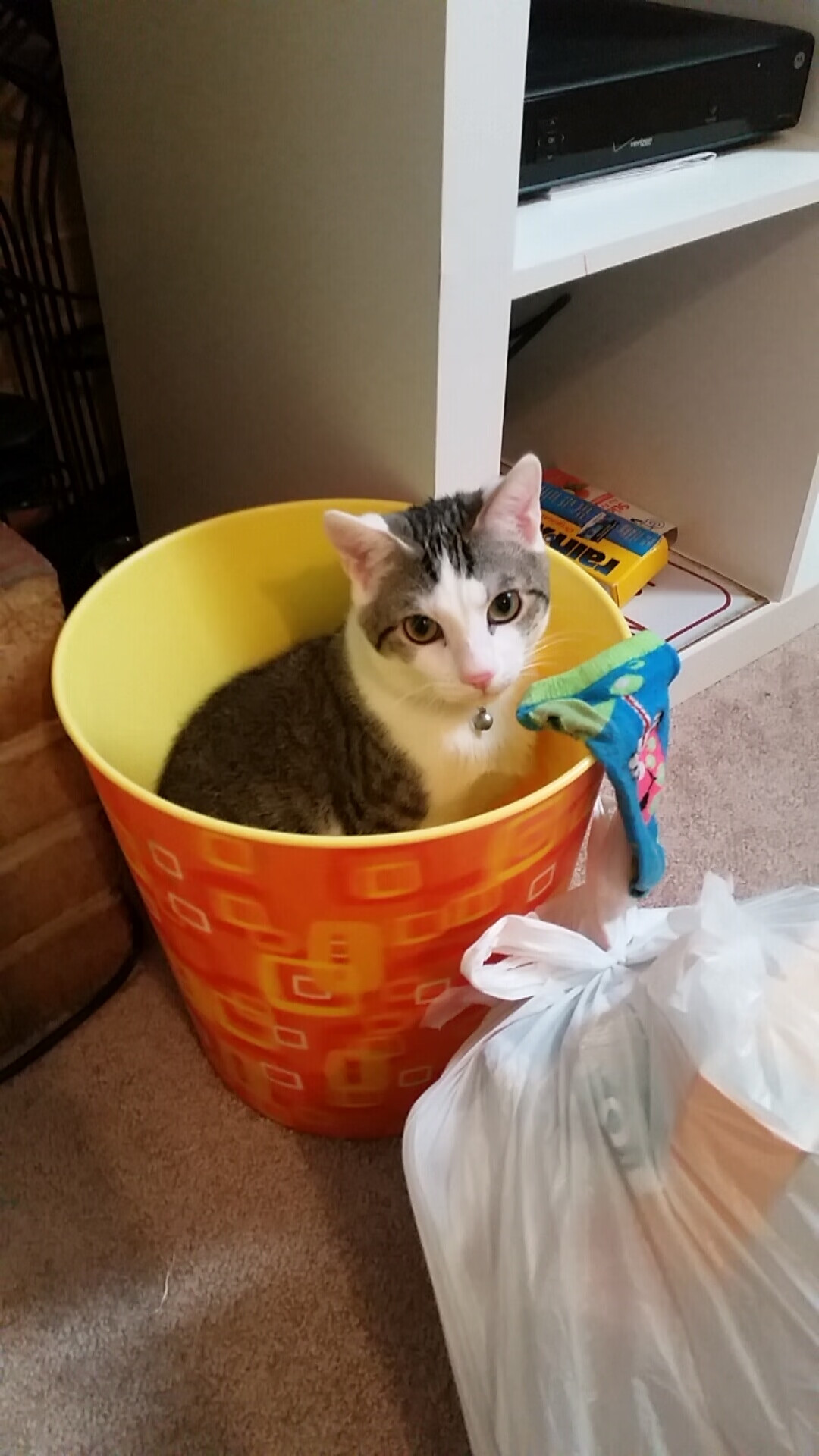 跨界对决,北京队奇迹般带走尼克斯,NBA总决赛新篇章