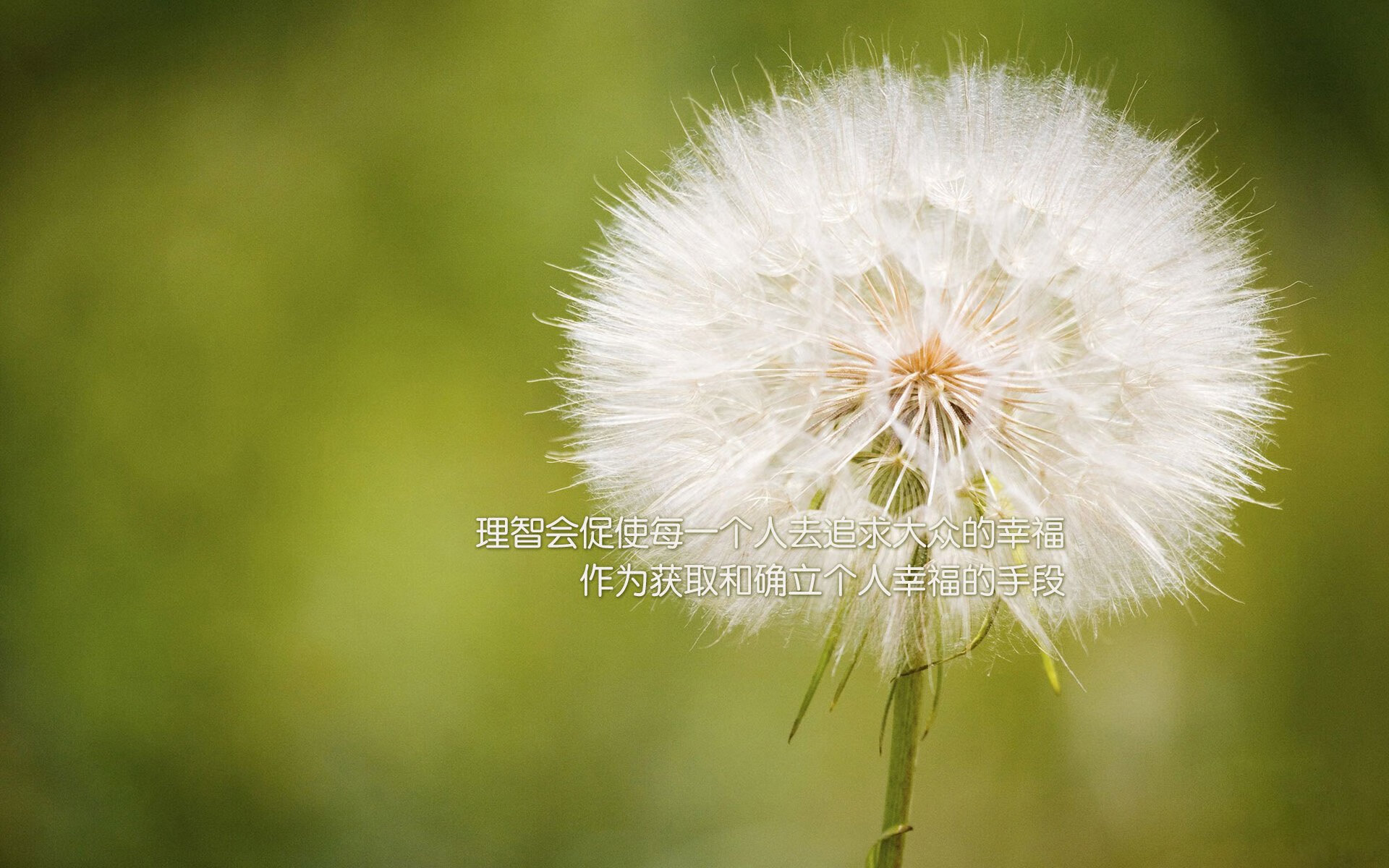 铁血风暴,织机之手,当广厦的碾压式防守遇见布伦森的冷血指挥