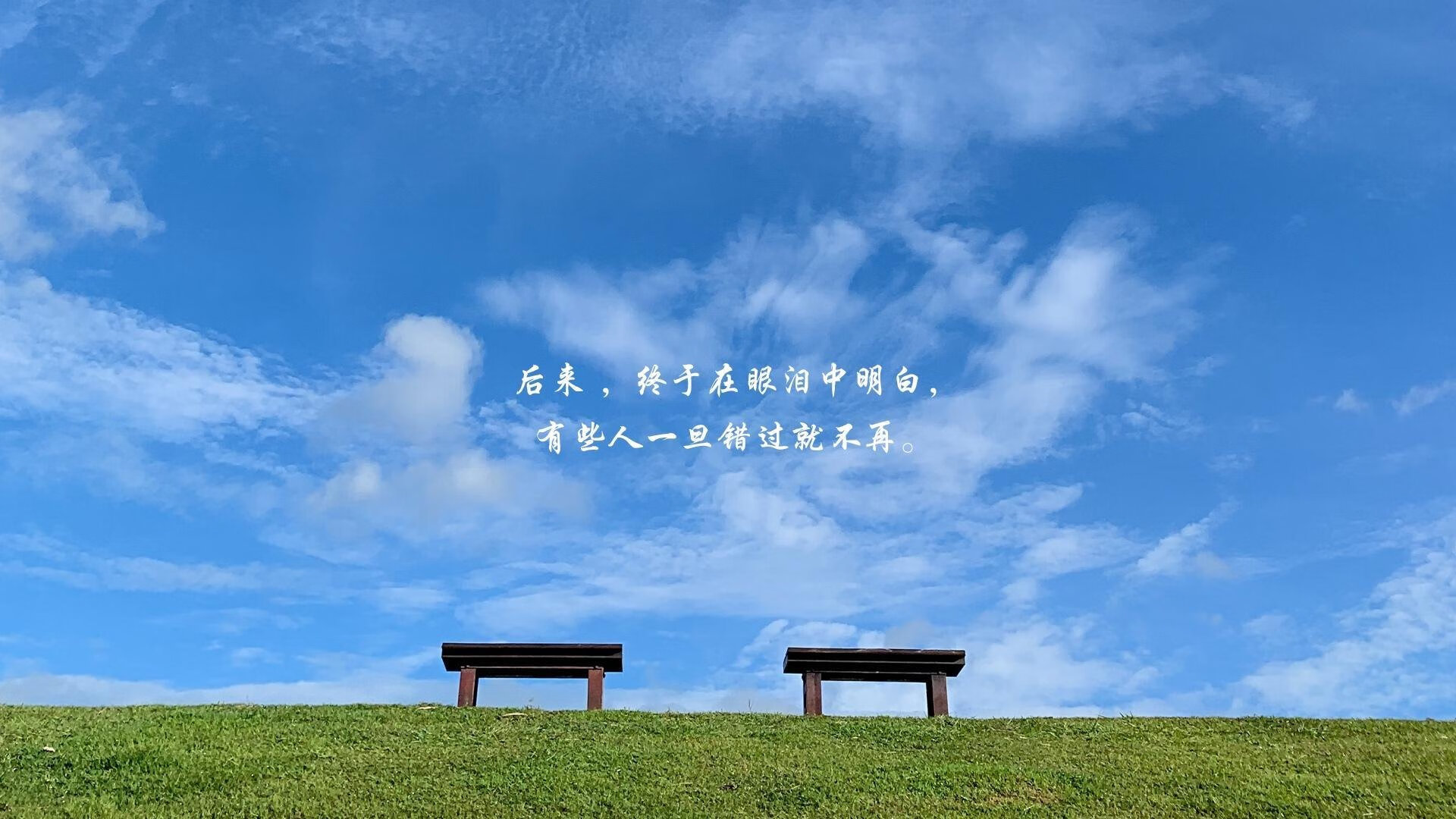 以下是为您构思的文章标题及正文